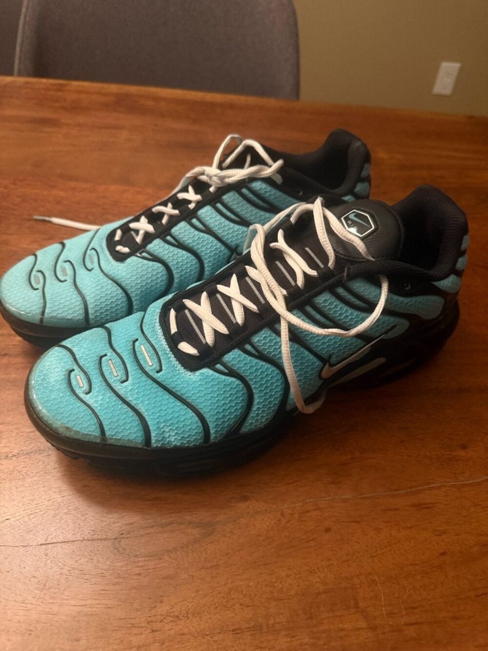 Nike Air Max Plus TN Dark Tiffany/Aqua Silver Size 13